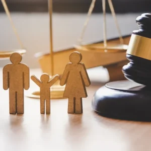 Family Law - LIVE